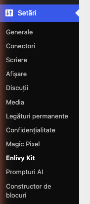 Meniul Setări din WordPress, cu intrarea Enlivy Kit evidențiată